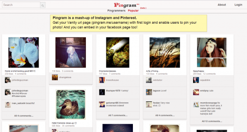 Pingram, la fusión de Instragram y Pinterest