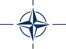 Páginas de internet de la OTAN son víctimas de ataques informáticos